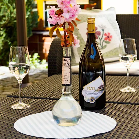 Hotel Wellness Rezidence 4*