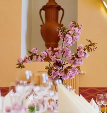 Wellness Rezidence 4*